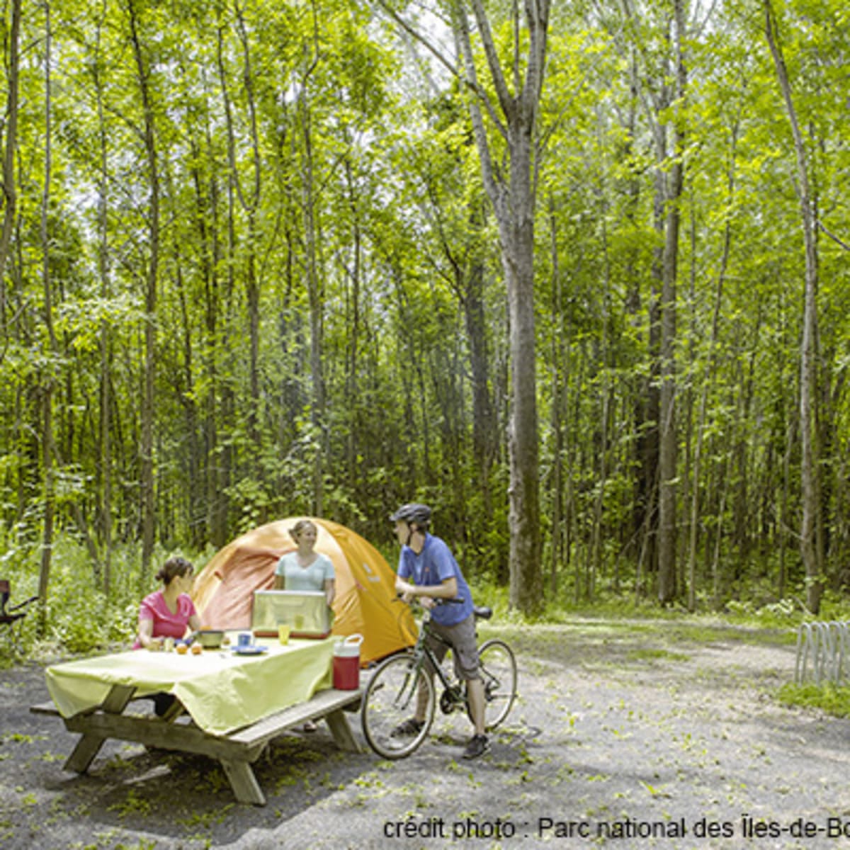 camping_du_parc_national_des_iles_de_boucherville_2