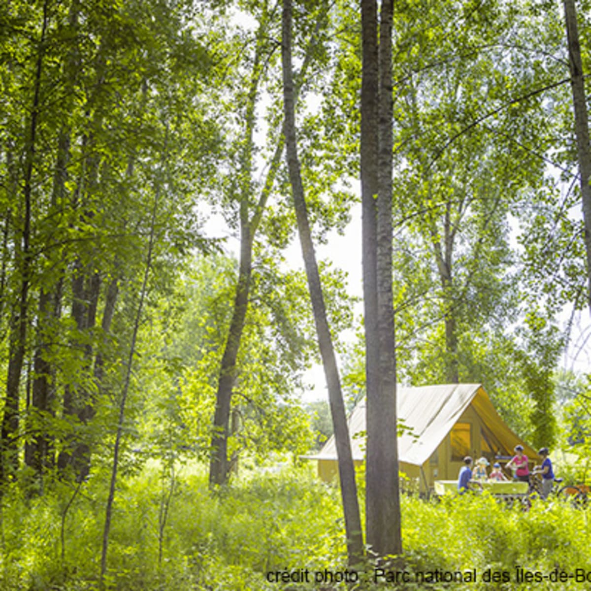 camping_du_parc_national_des_iles_de_boucherville_3
