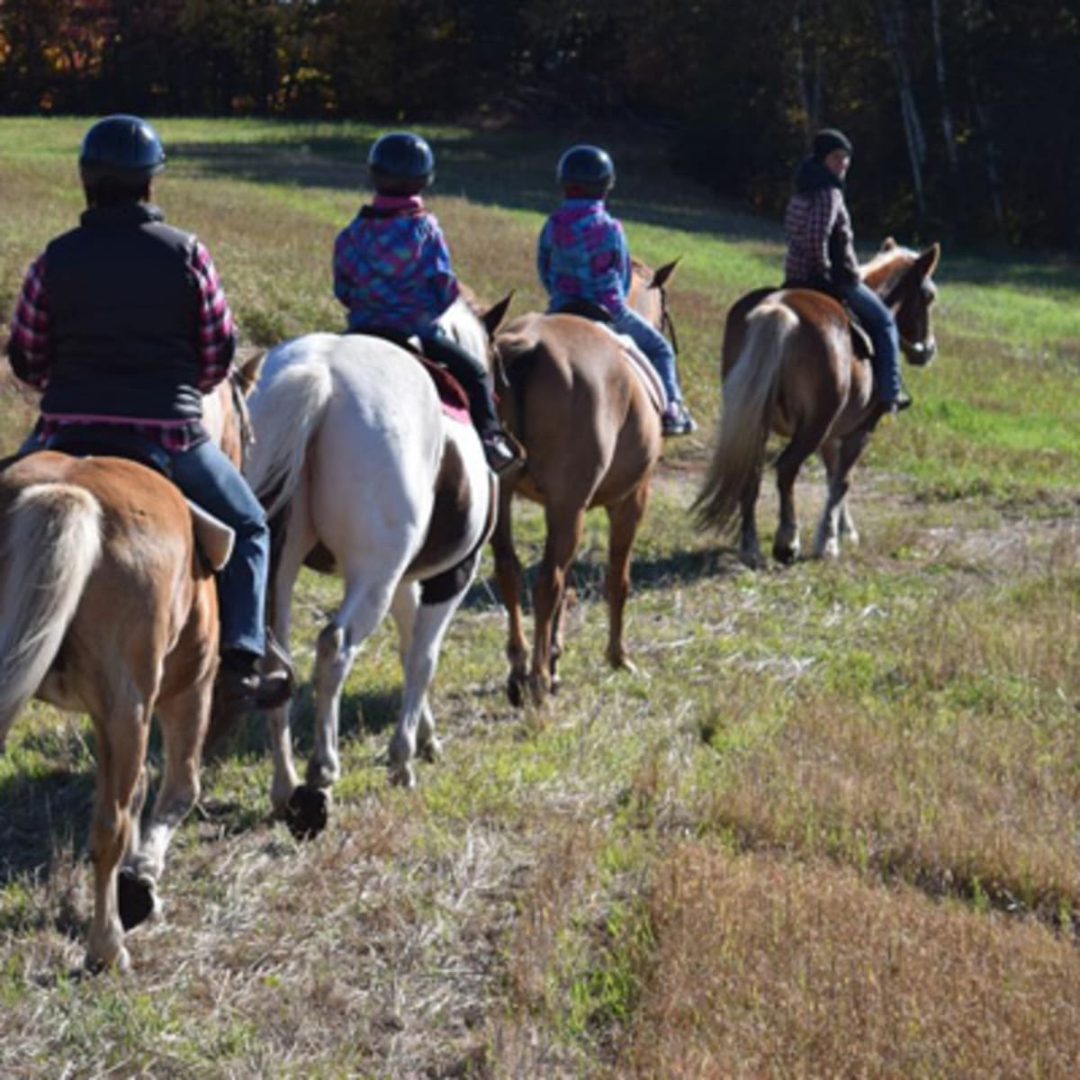 centre_equestre_aurelie_piche_1