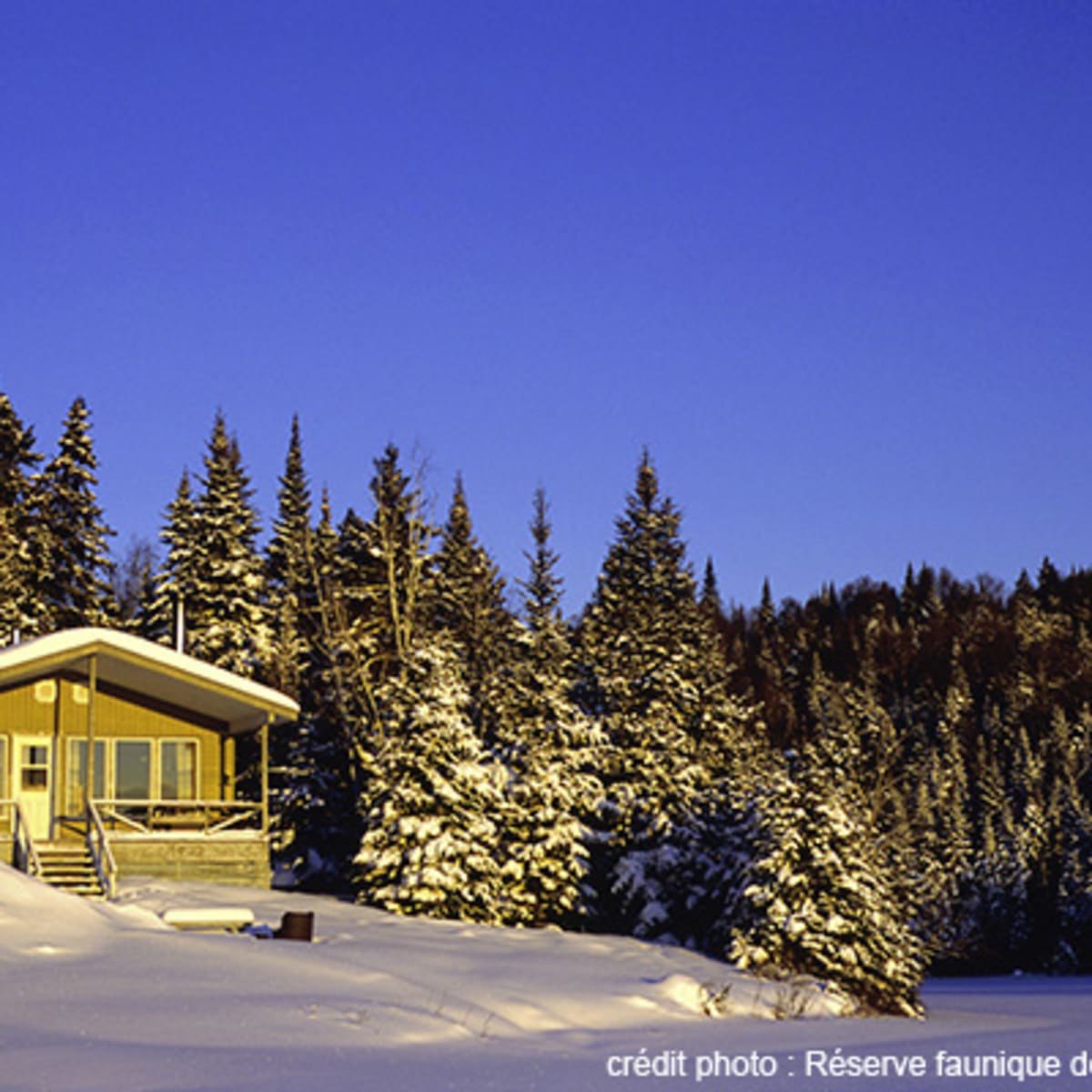 chalets_de_la_reserve_faunique_de_portneuf_1_h