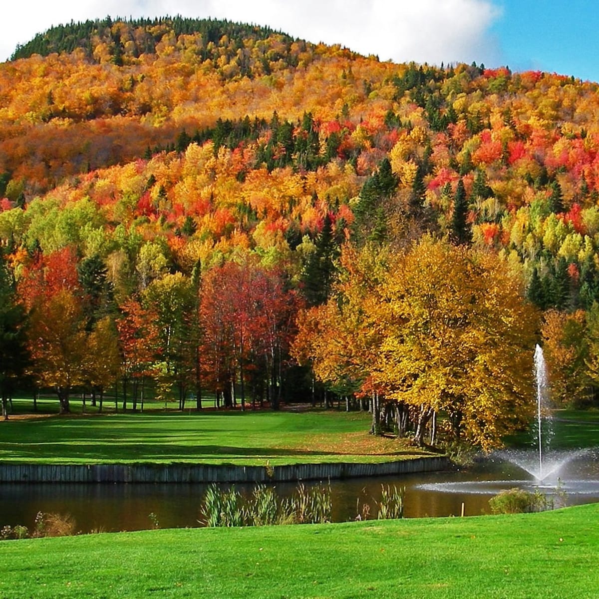 club_de_golf_alpin_1_a