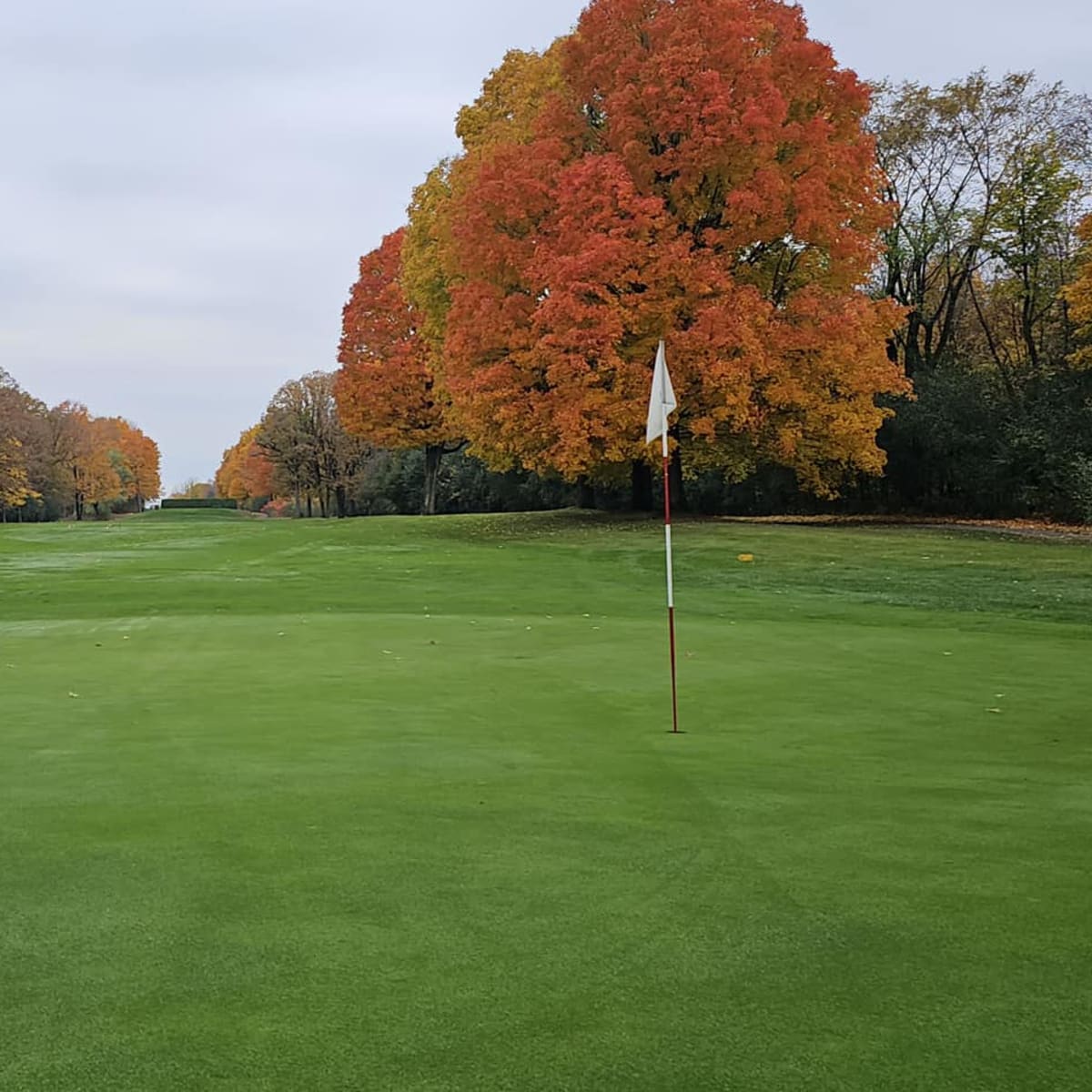 club_de_golf_belle_vue_1_a