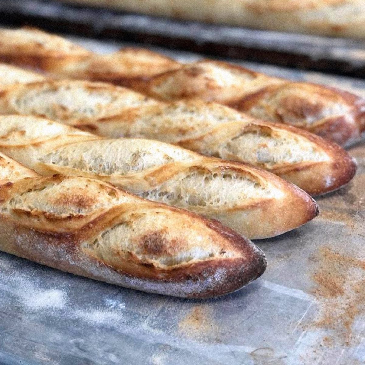 creme_boulangerie_patisserie_1