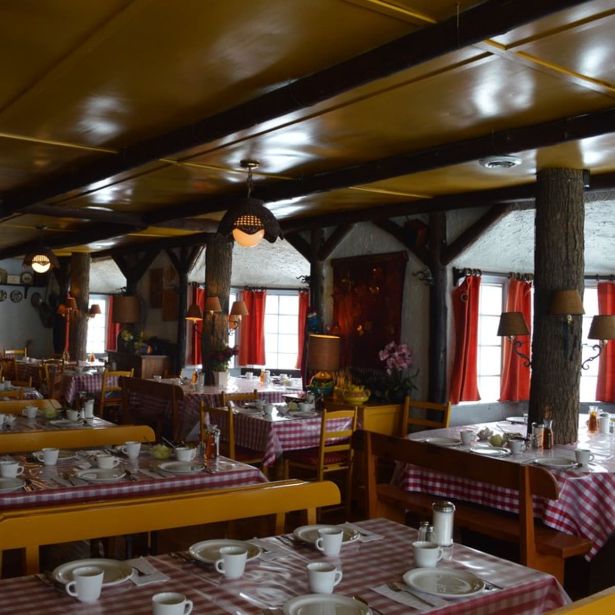 erabliere_a_la_feuille_derable_1_p