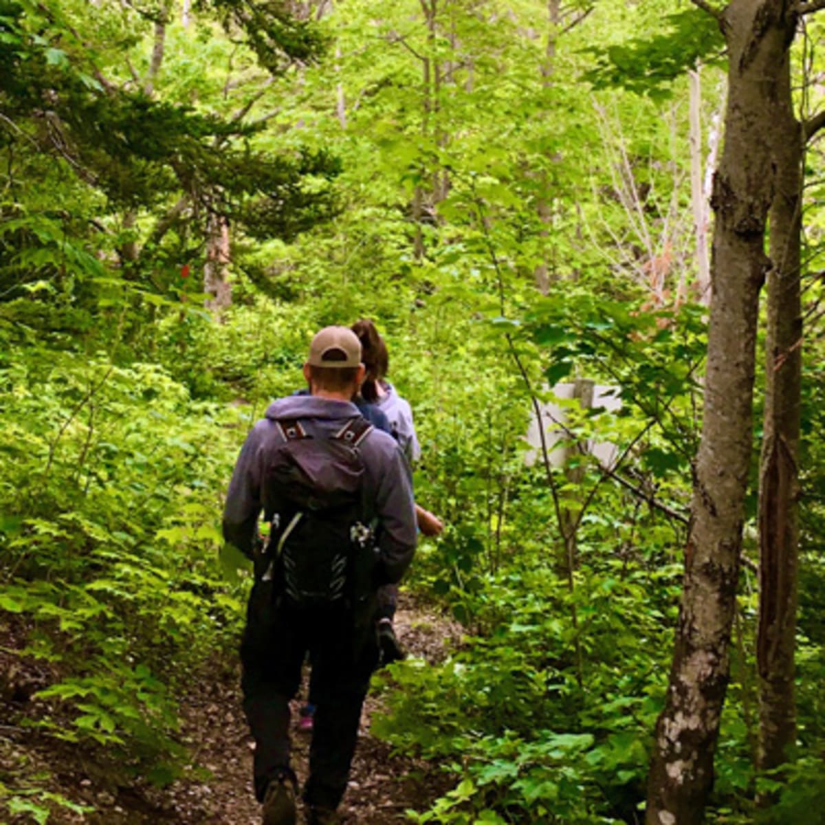 evasion_nature_petite_vallee_1