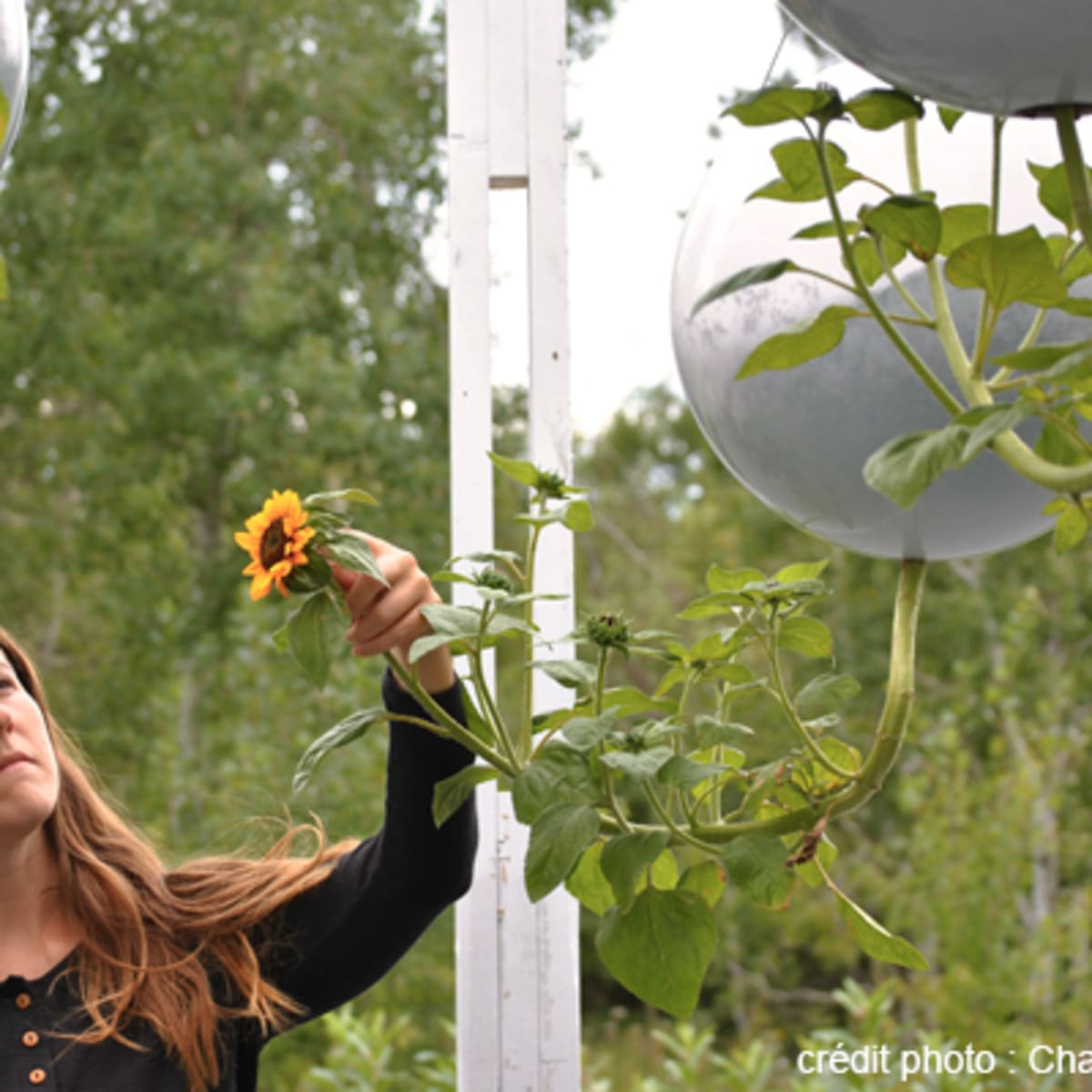 festival_international_de_jardins_1