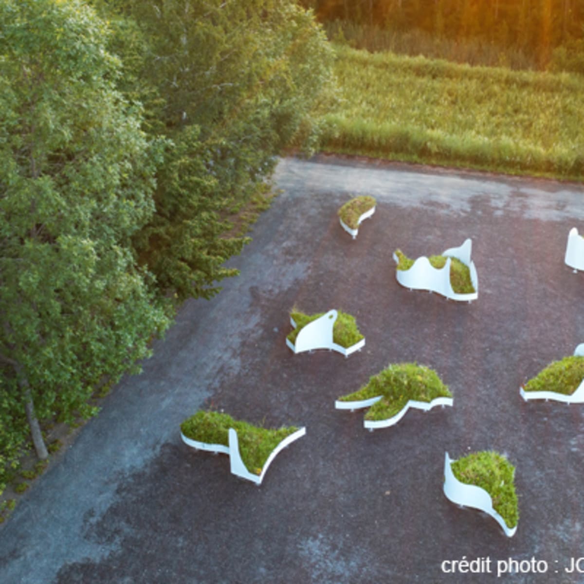 festival_international_de_jardins_13