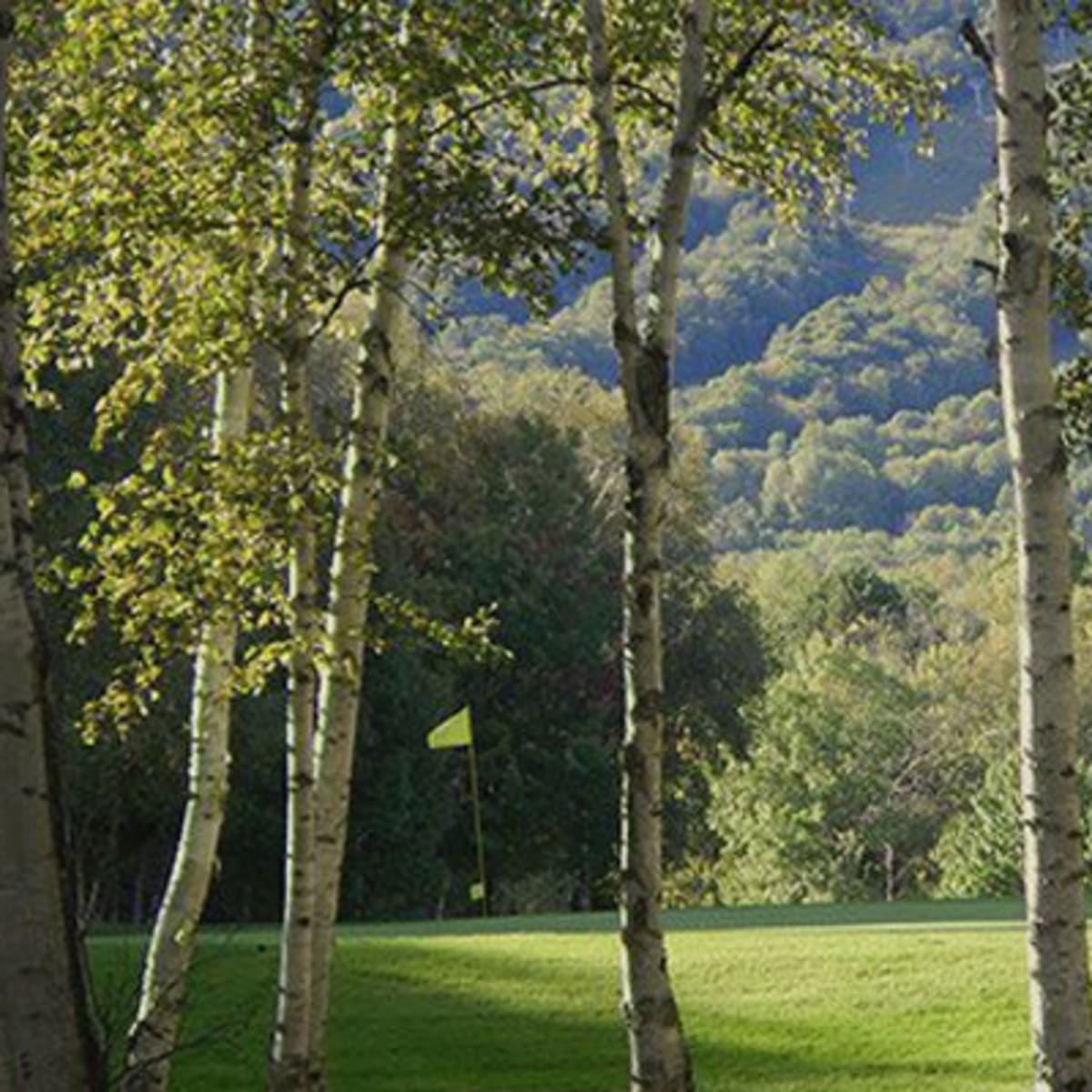 golf_saint_ferreol_1