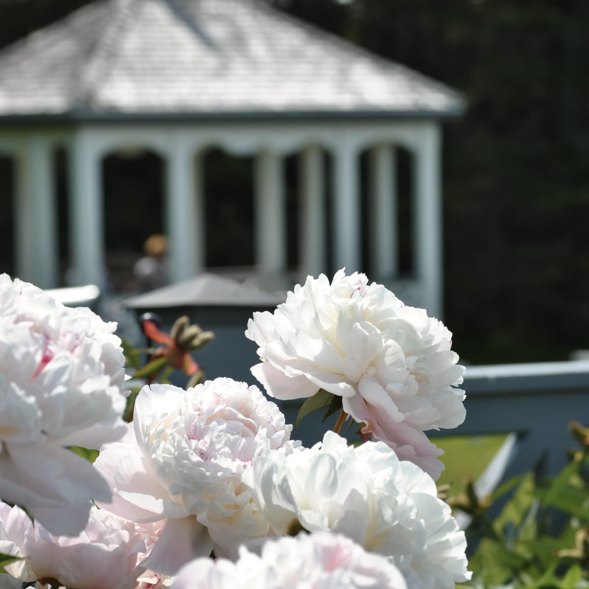 jardins_de_metis_12