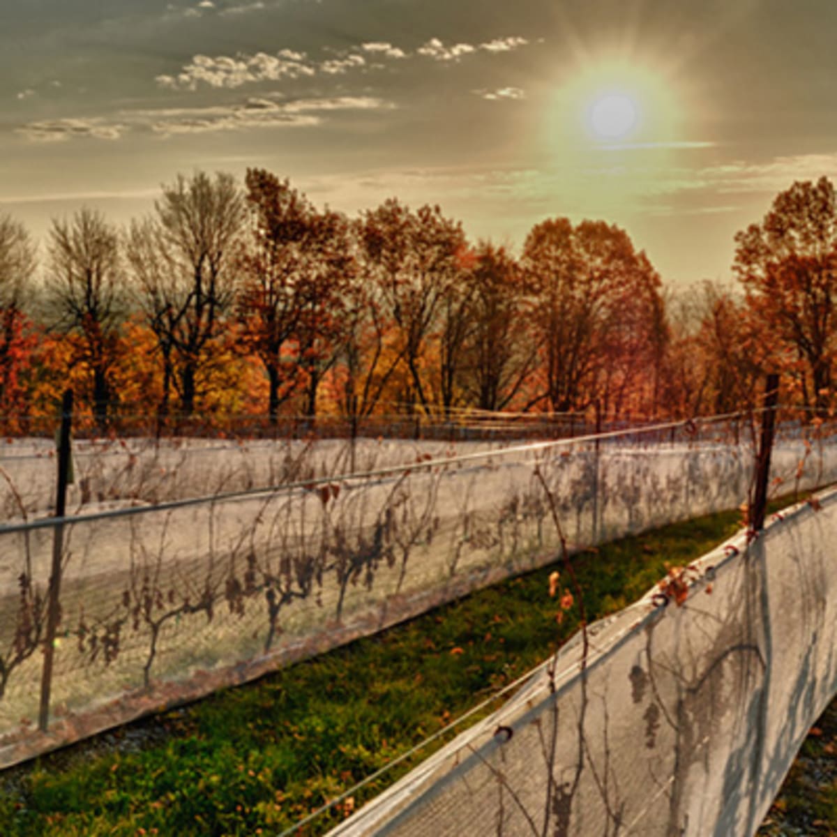 la_route_des_cidres_20