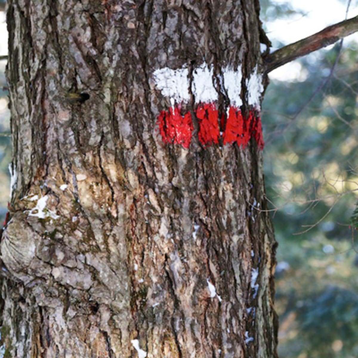 les_coteaux_missisquoi_6