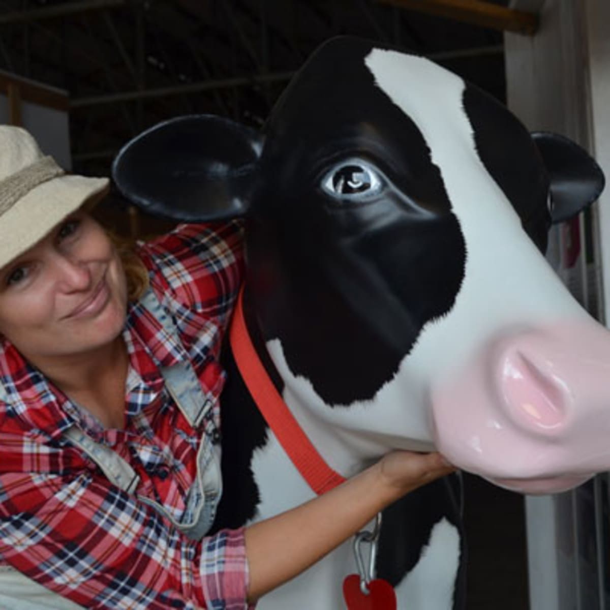 les_expositions_agricoles_du_quebec_1