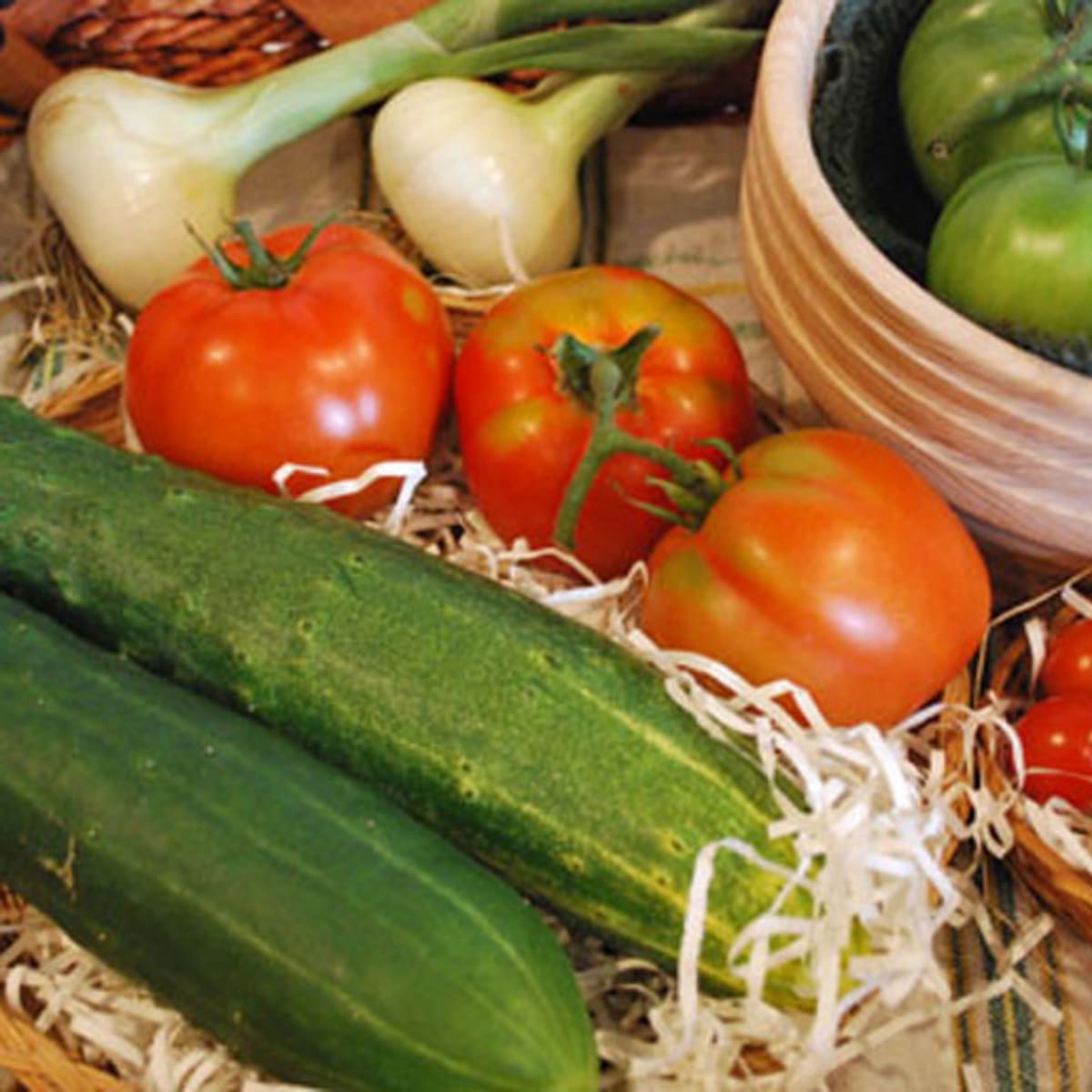 les_expositions_agricoles_du_quebec_2