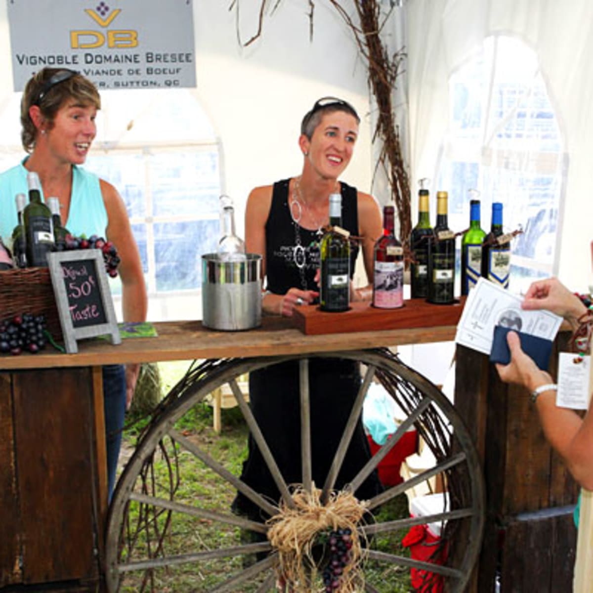 les_expositions_agricoles_du_quebec_3