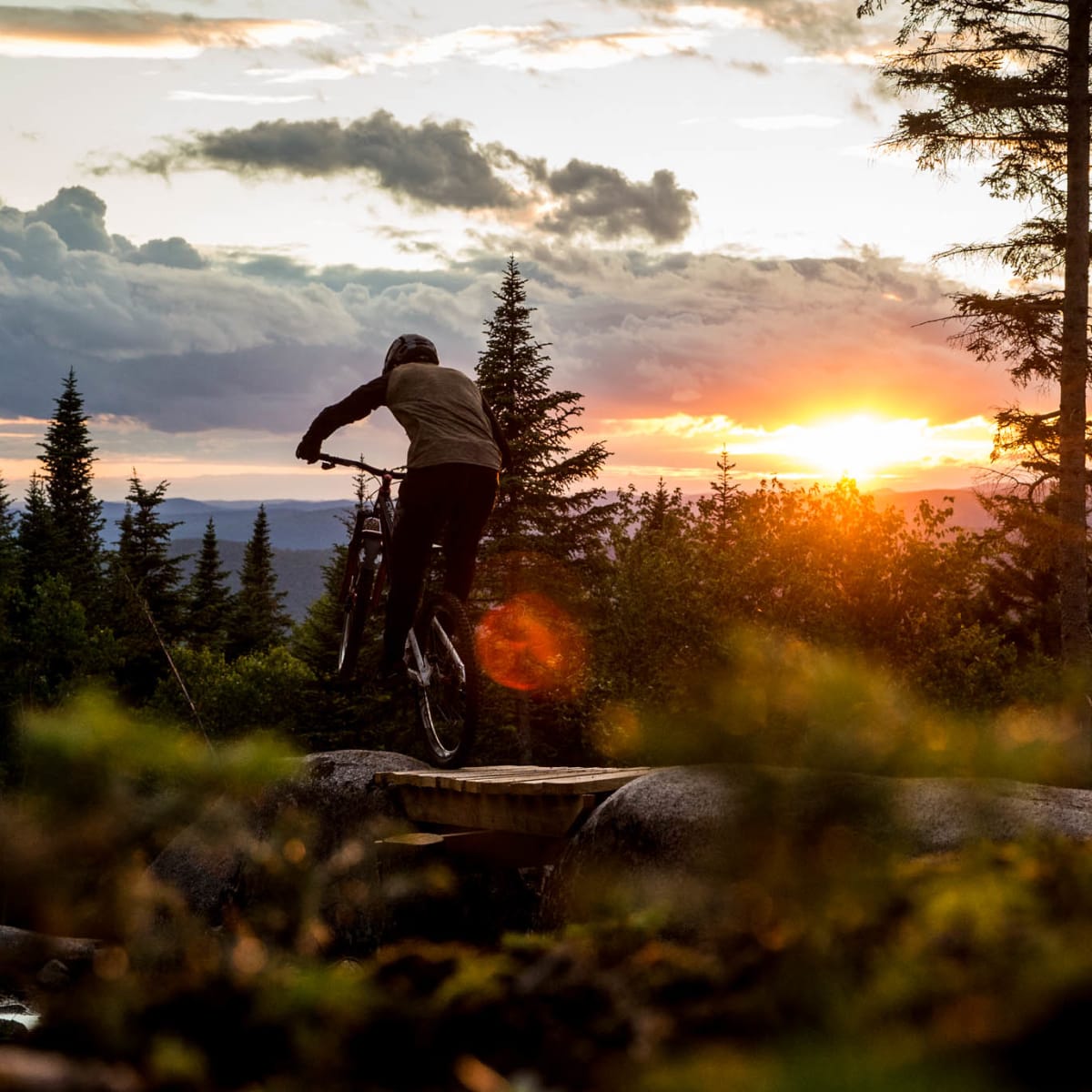 les_sentiers_du_moulin_1