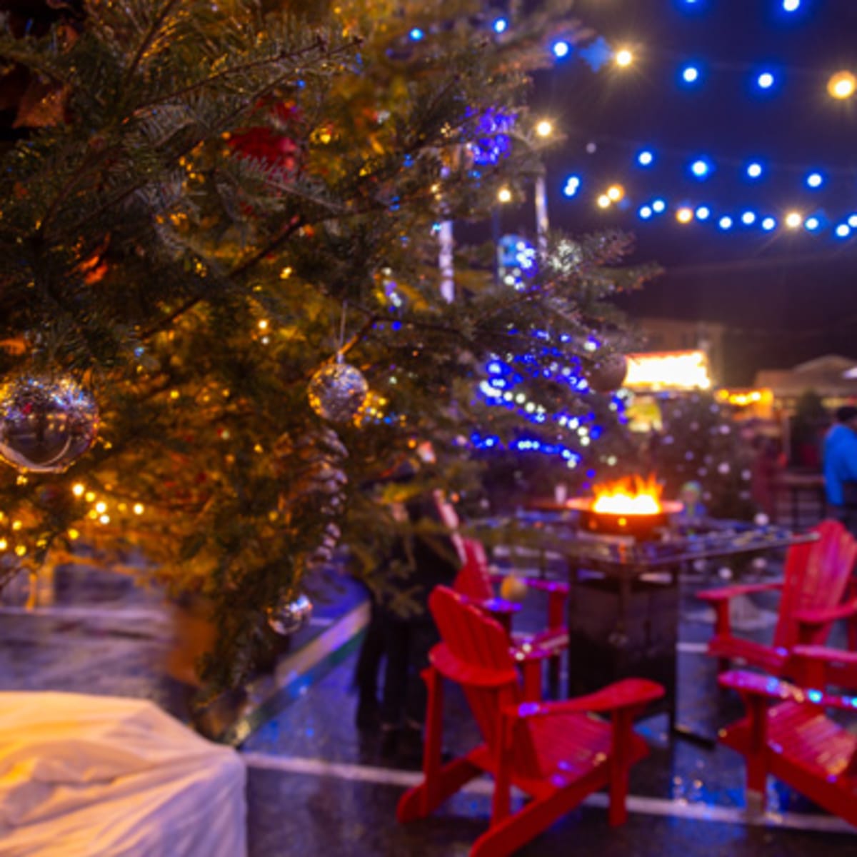 marche_des_fetes_de_dorval_14_h