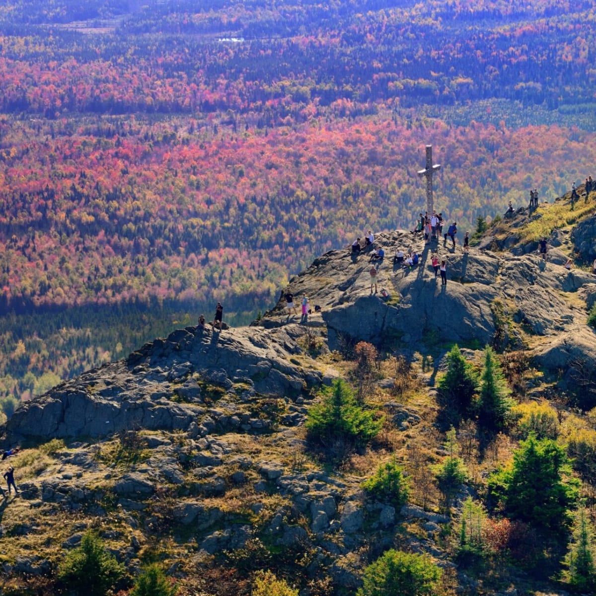 mont_ham_1_a