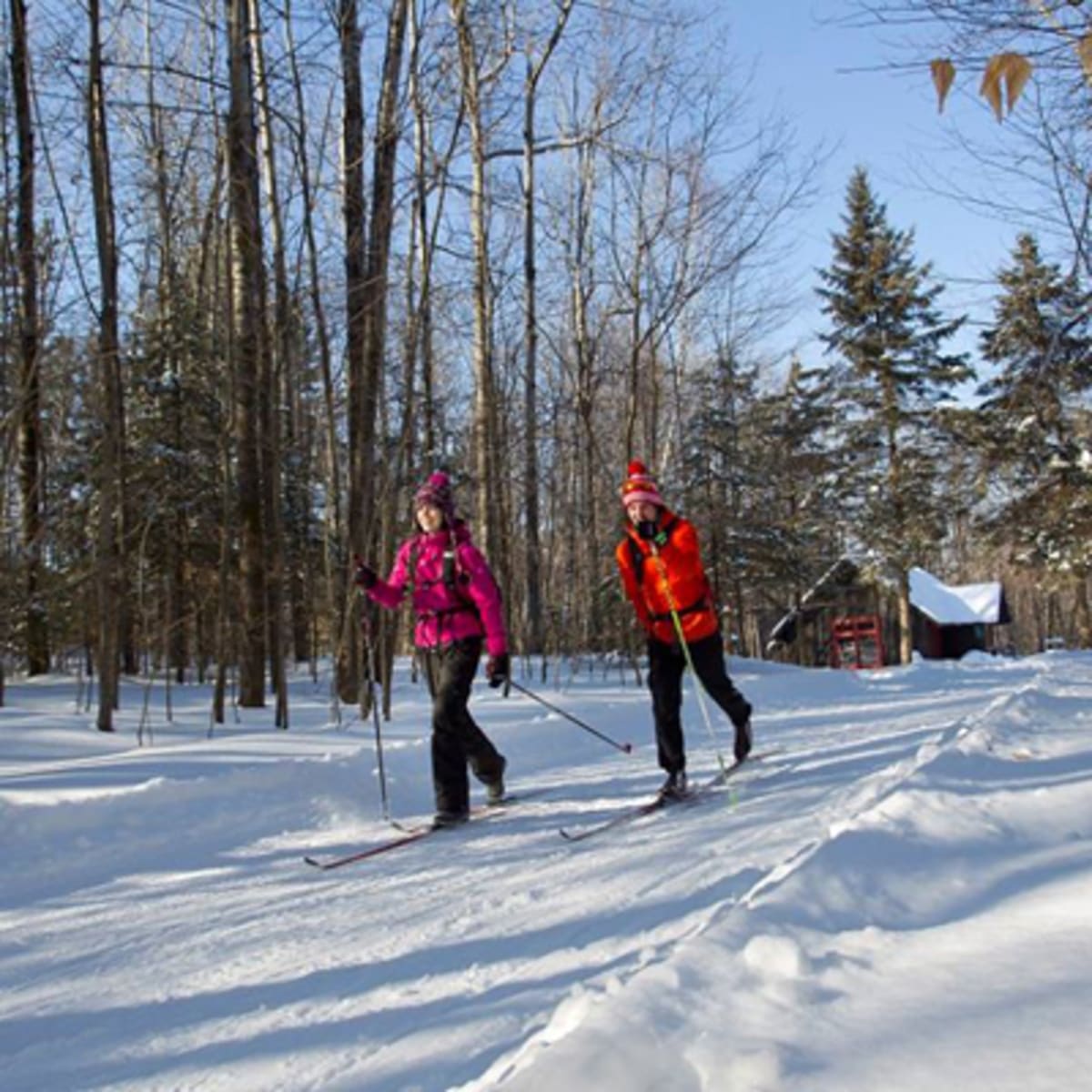 parc_de_la_gatineau_1_h