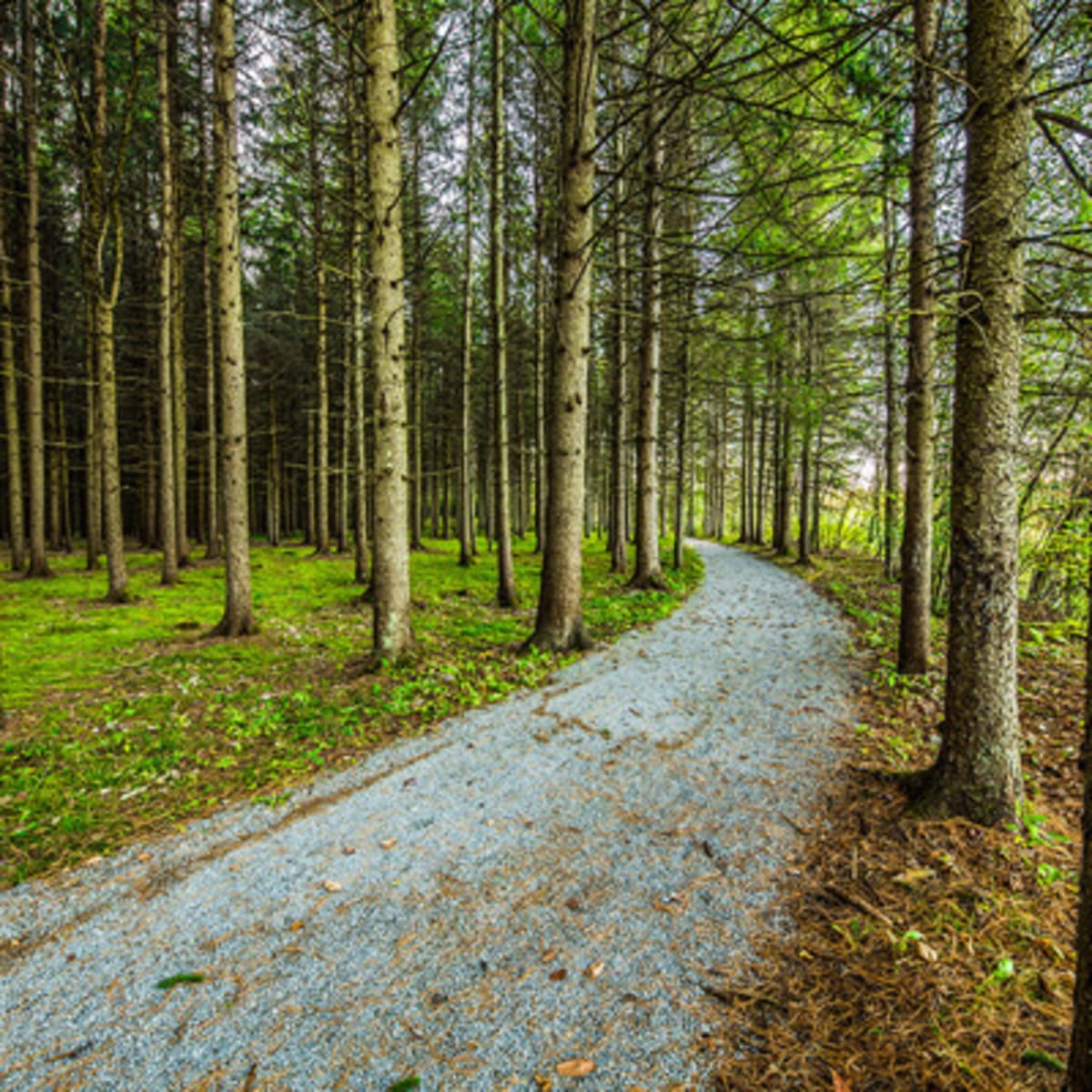 parc_des_deux_rivieres_1