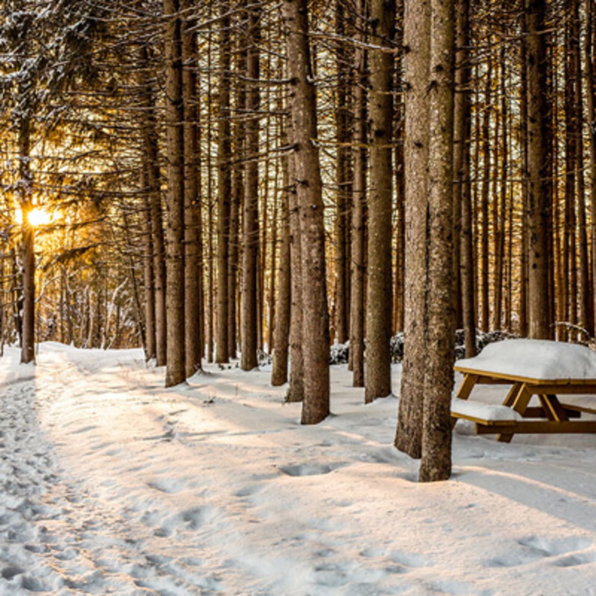 parc_des_deux_rivieres_1_h