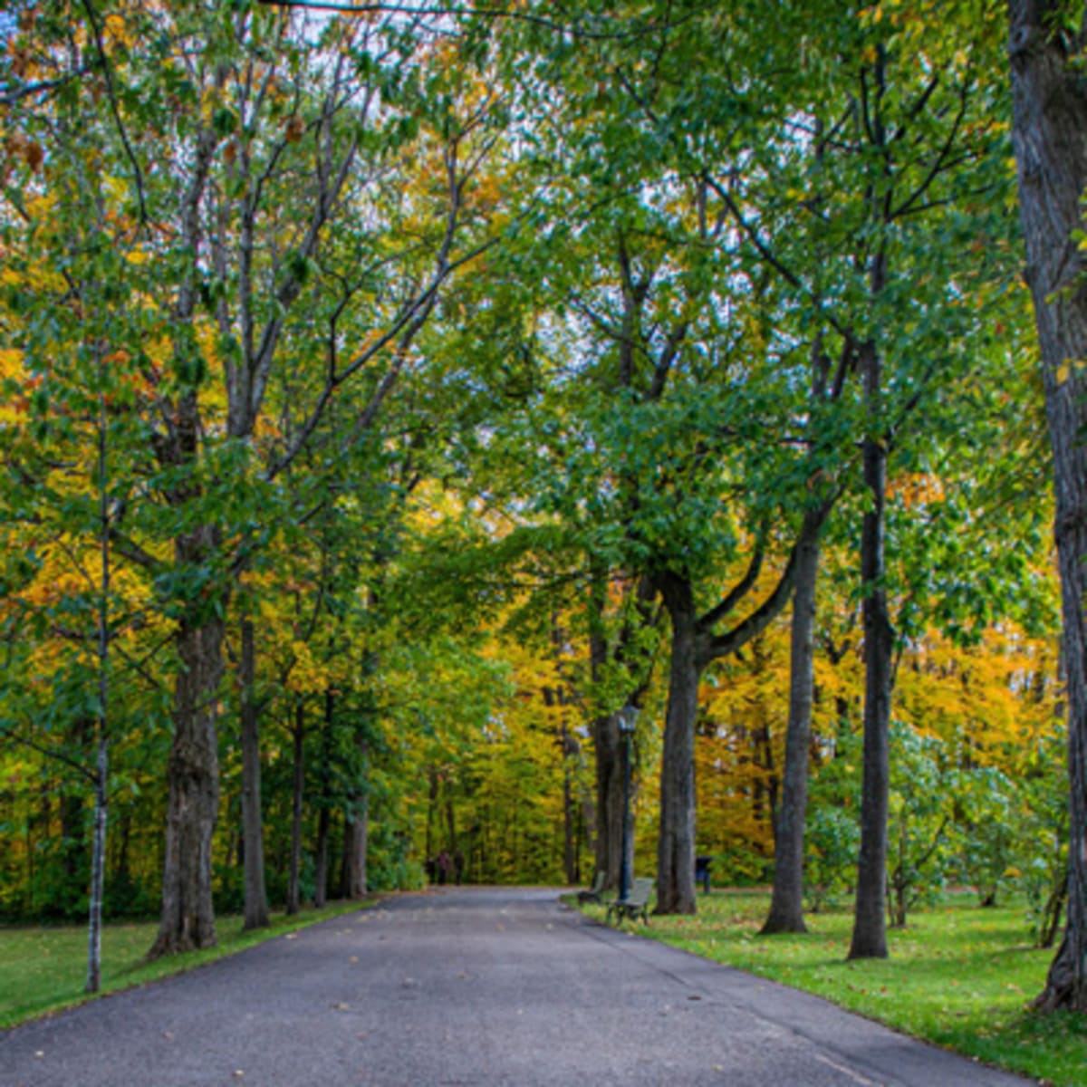 parc_du_bois_de_coulonge_1_a