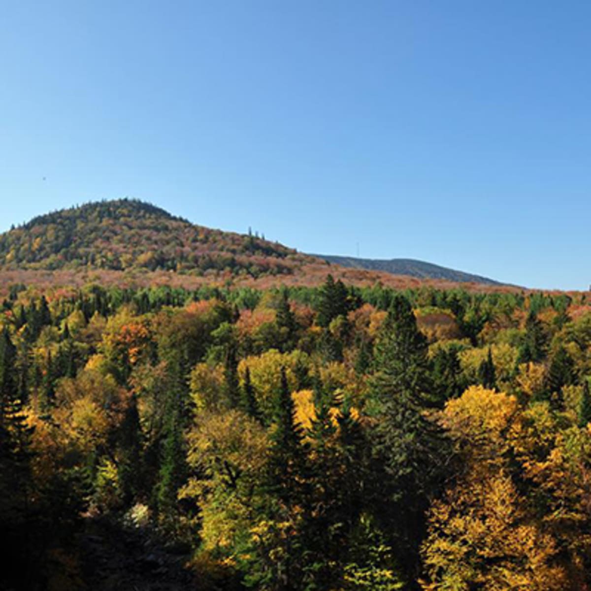 parc_du_massif_du_sud_2