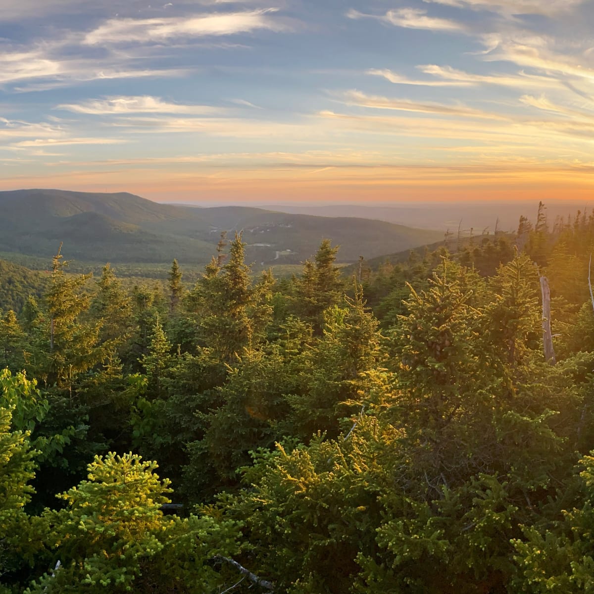 parc_du_massif_du_sud_6