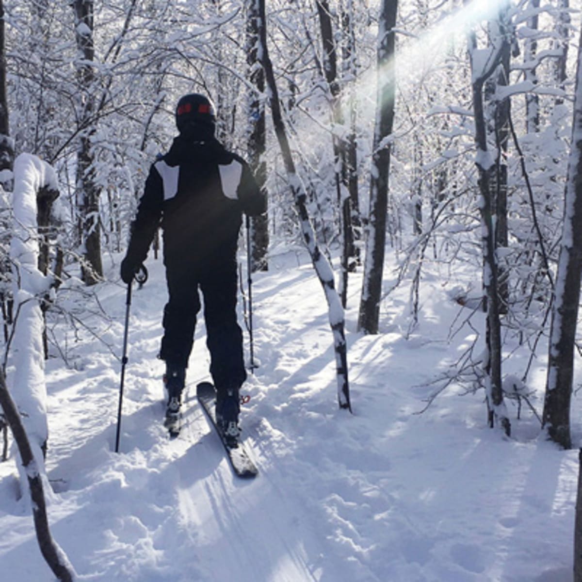 parc_du_mont_hatley_1_h