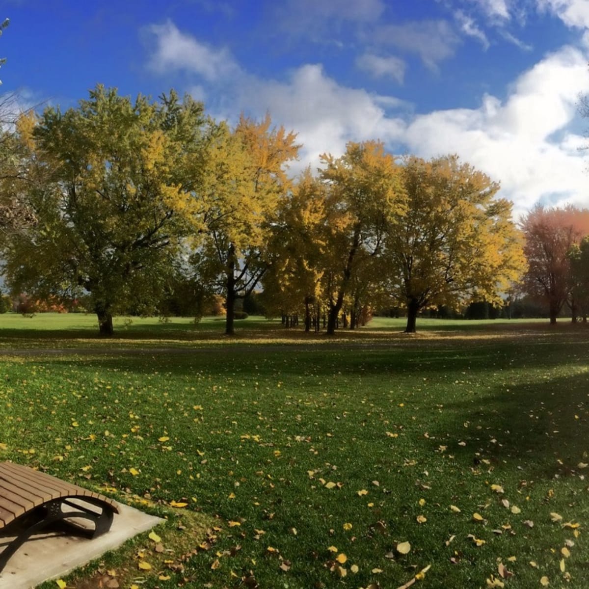 parc_maisonneuve_1_a