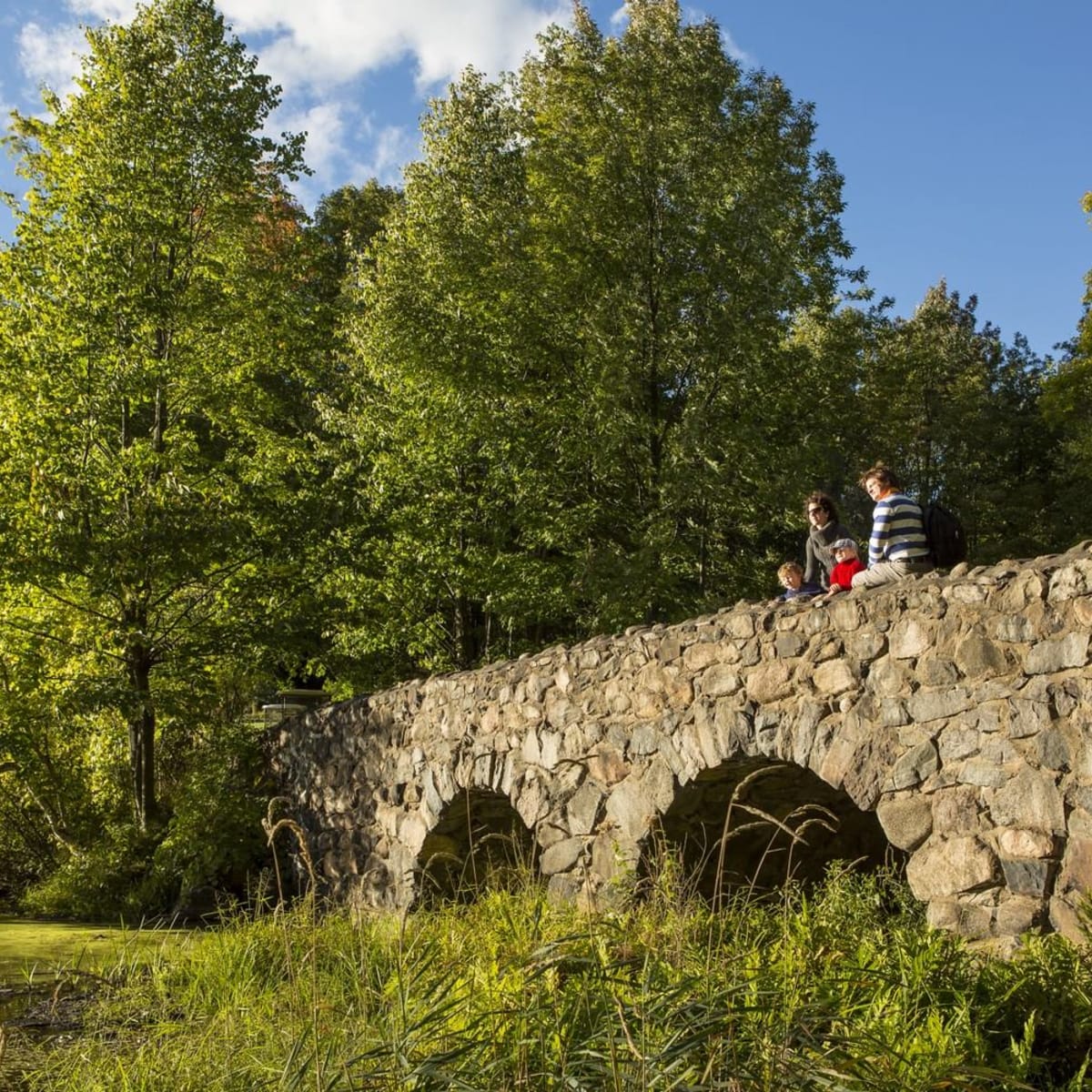 parc_national_du_mont_saint_bruno_1