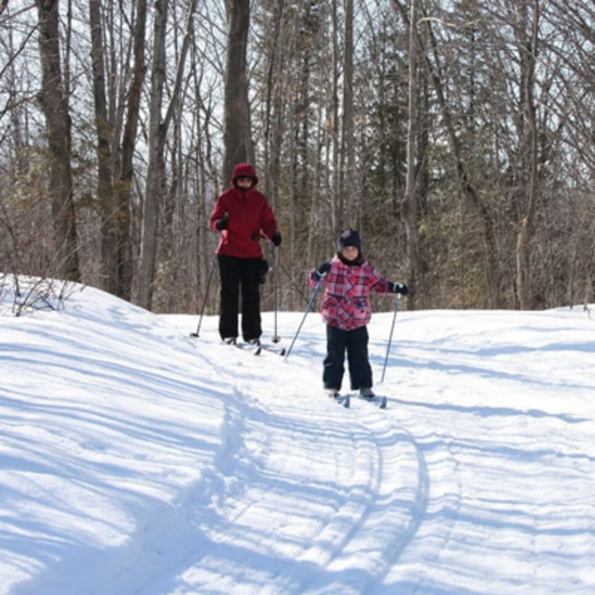 parc_nature_du_bois_de_lile_bizard_1_h