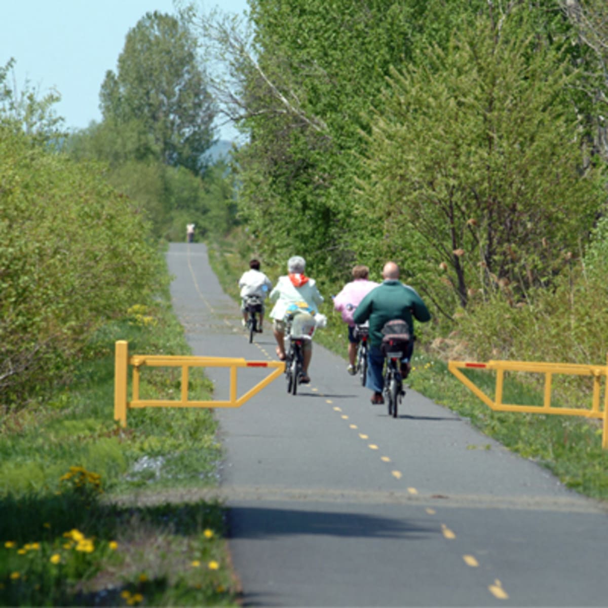 piste_cyclable__la_route_des_champs_10
