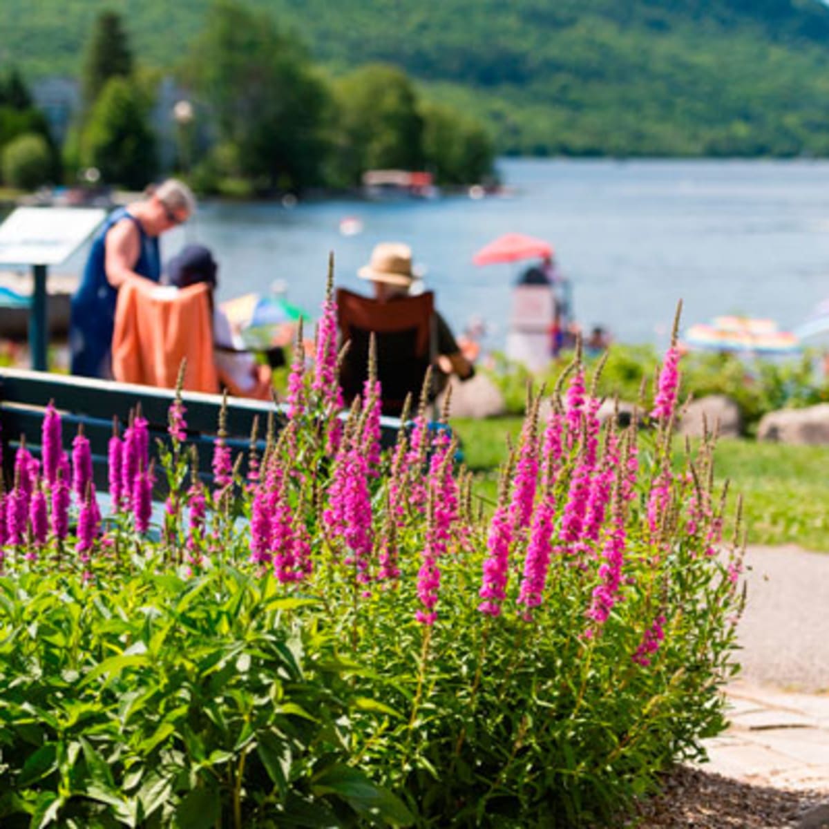plage_municipale_de_saint_donat_parc_des_pionniers_3