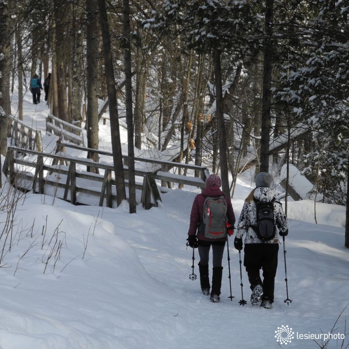 promenade_jacques_cartier_1_h