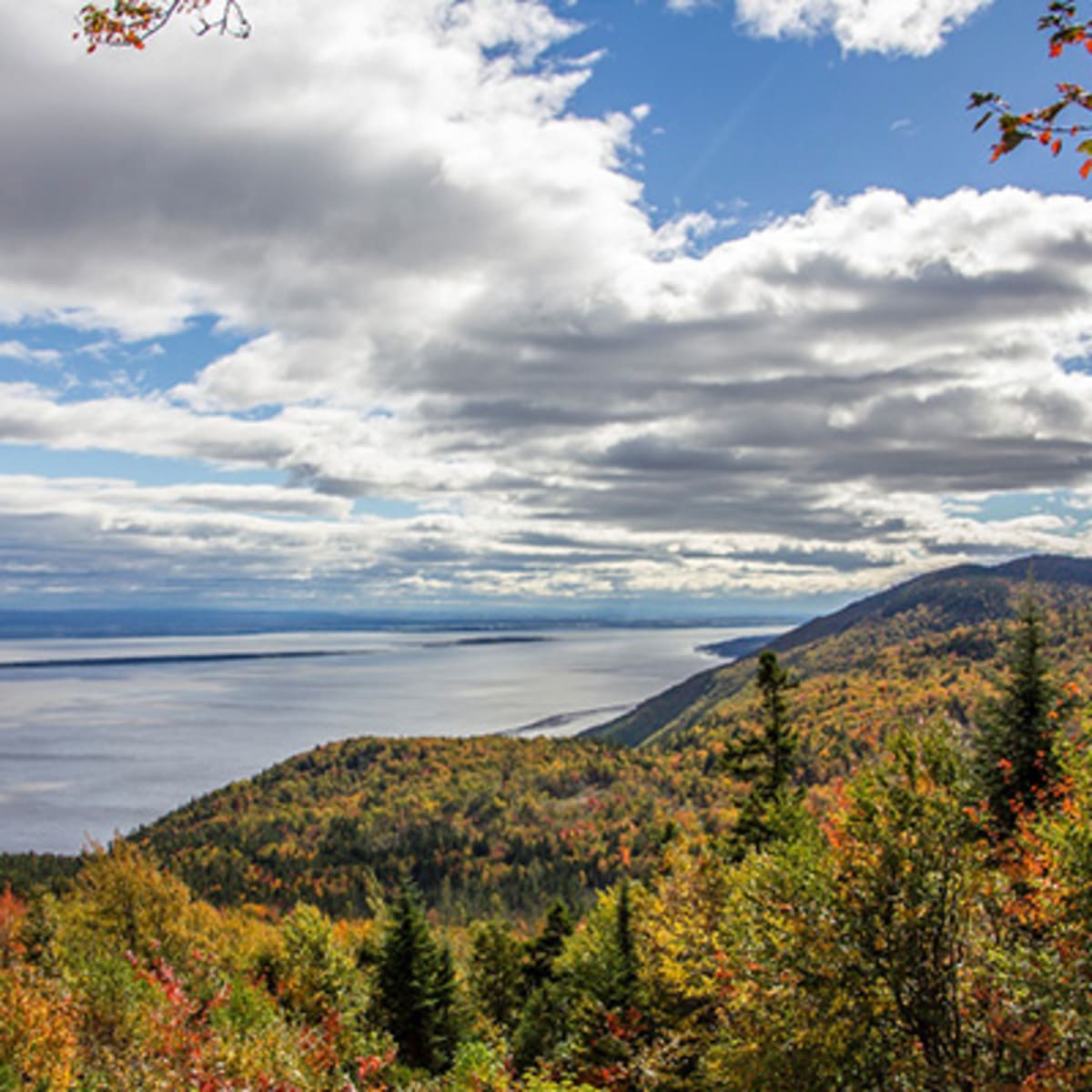 sentier_des_caps_de_charlevoix_1