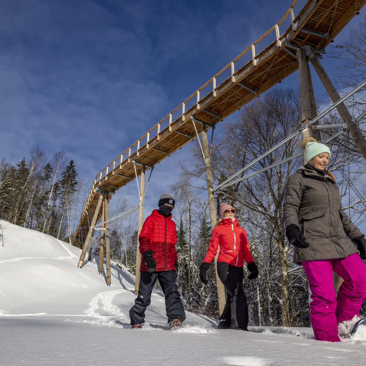 sentier_des_cimes_laurentides_5_h