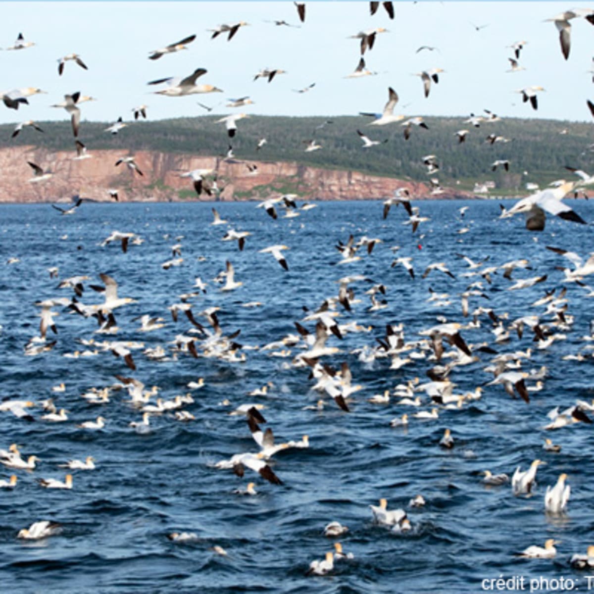tourisme_gaspesie_17