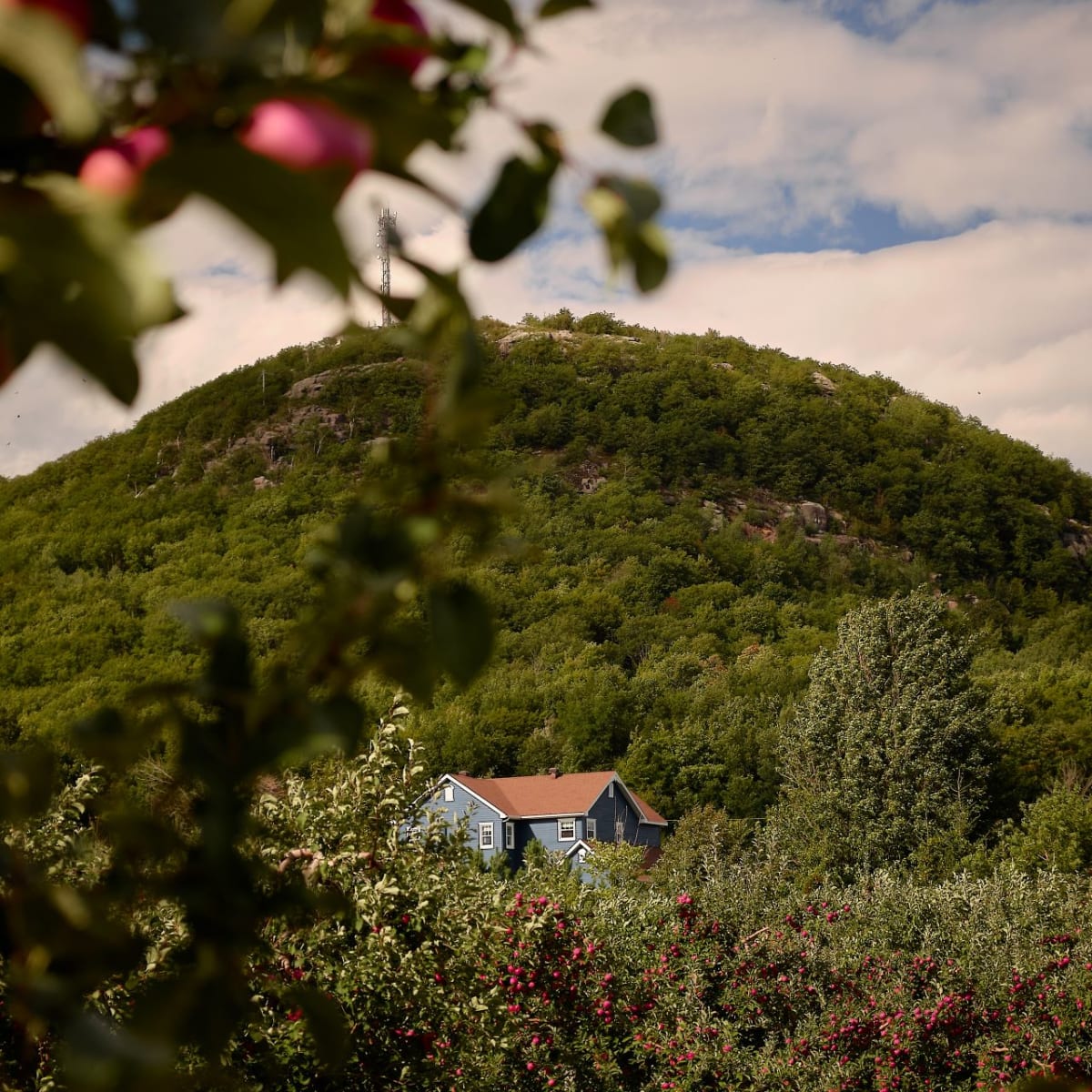 tourisme_haut_richelieu_2_a