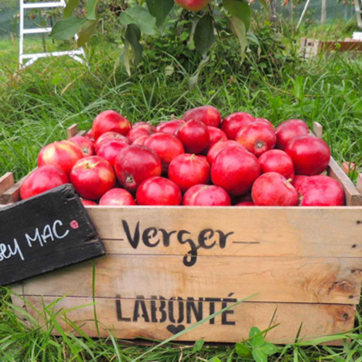 verger_labonte_1