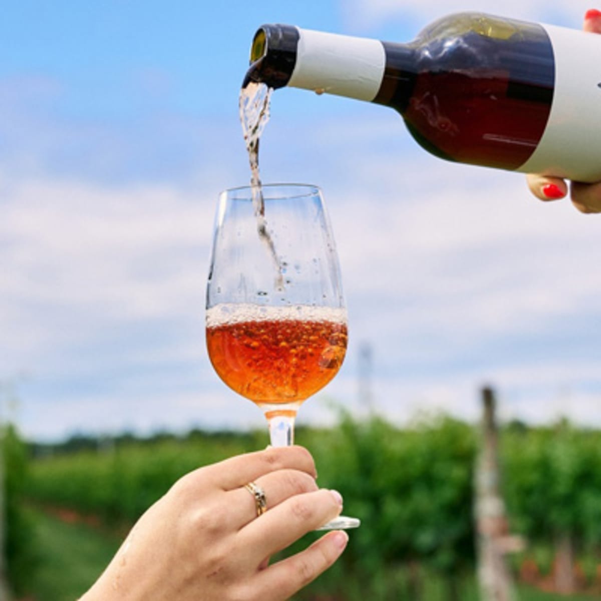 vignoble_de_lavoie_poitevin_1