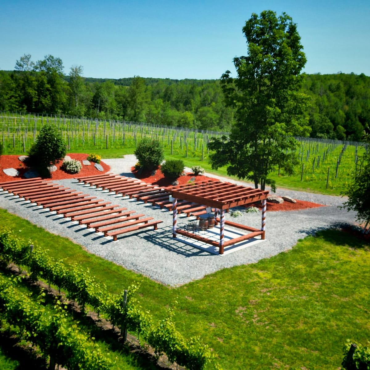 vignoble_la_halte_des_pelerins_1
