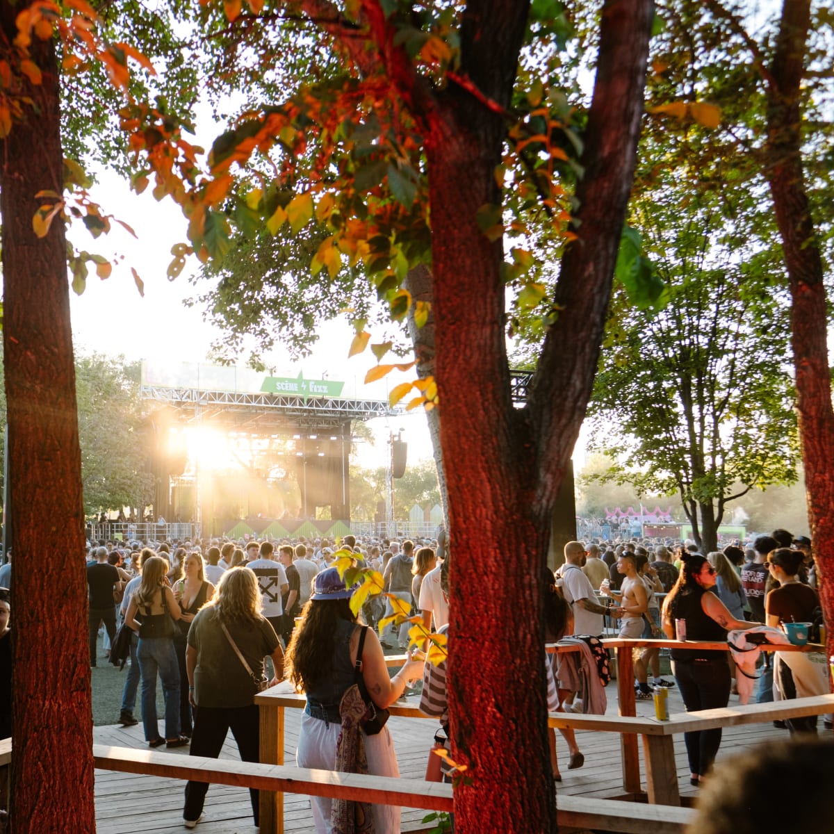 A shaded area under the trees.