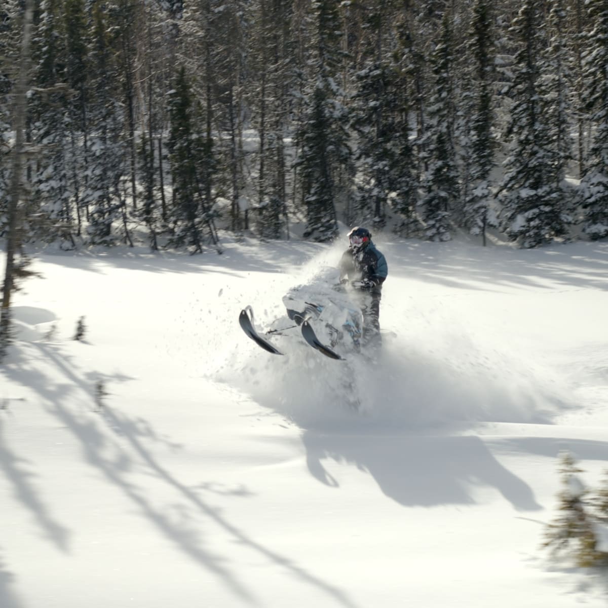 Pourvoirie du Lac Dionne