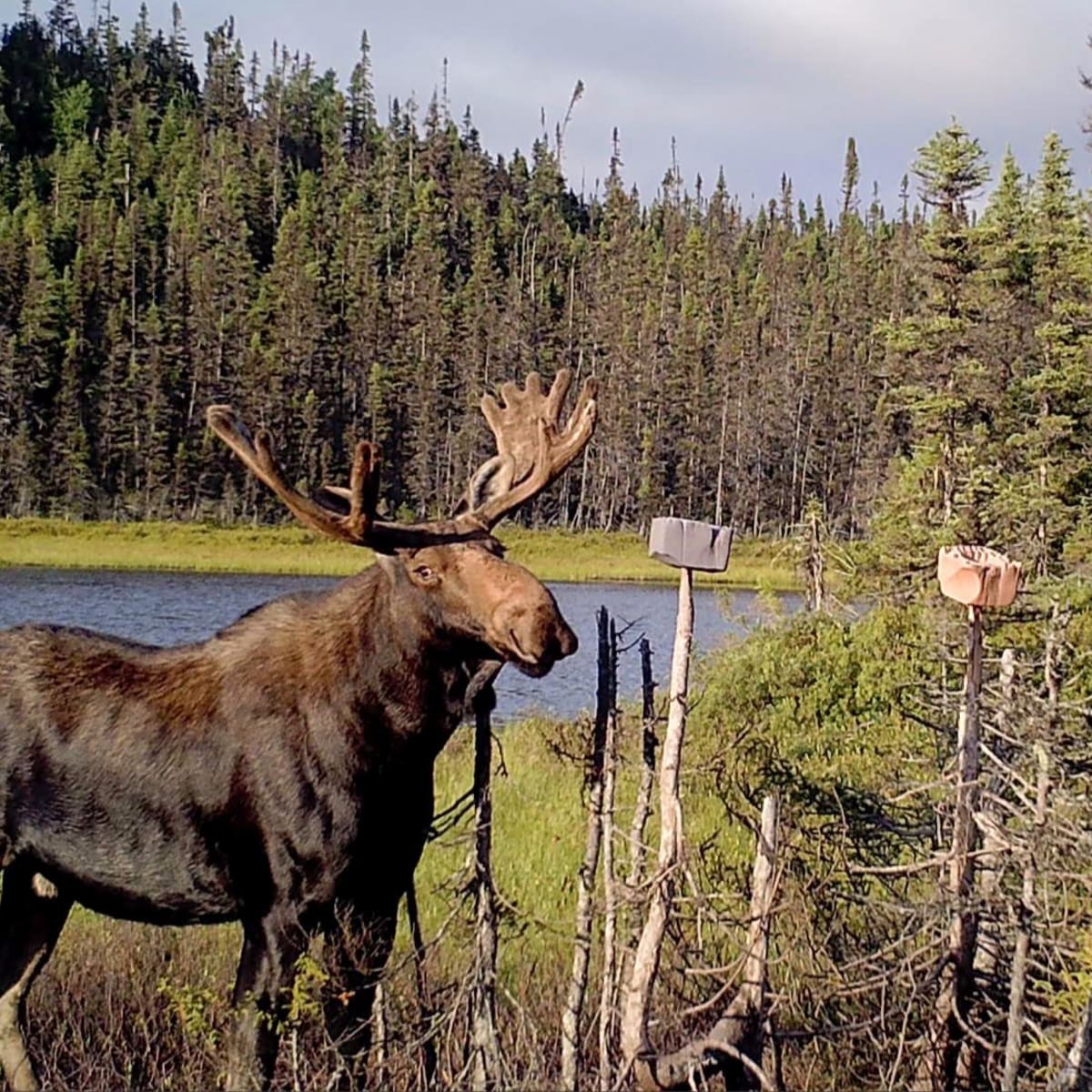 Pourvoirie du Lac Dionne