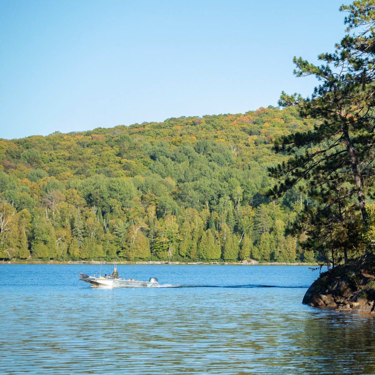 Pourvoirie Michel St-Louis