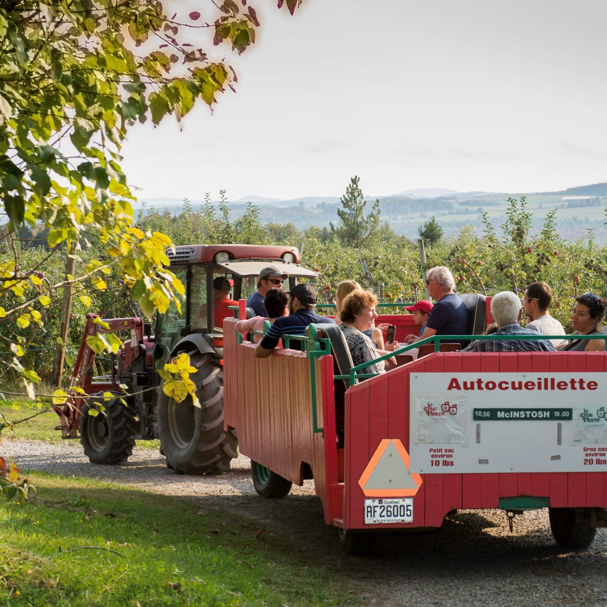 Tractor in an orchard for u-pick at Verger Gros Pierre.