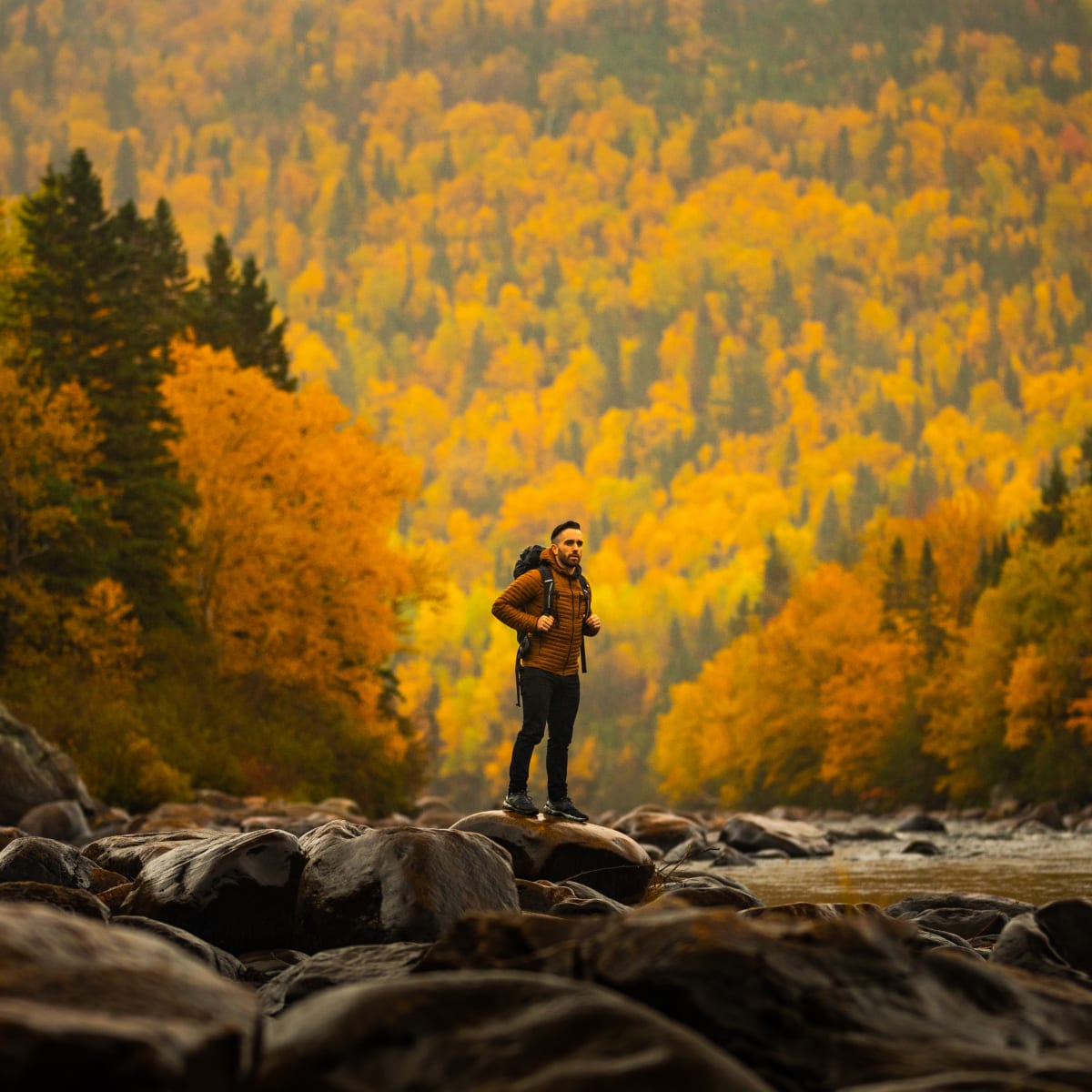 Homme en randonnée dans un paysage automnal de la région de Québec.