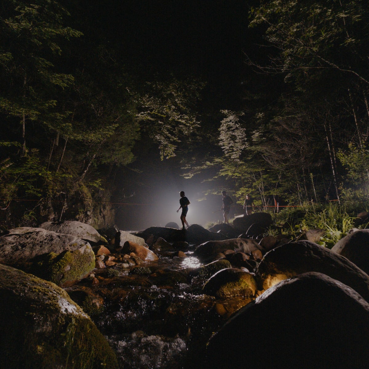 Québec Mega Trail, at night.
