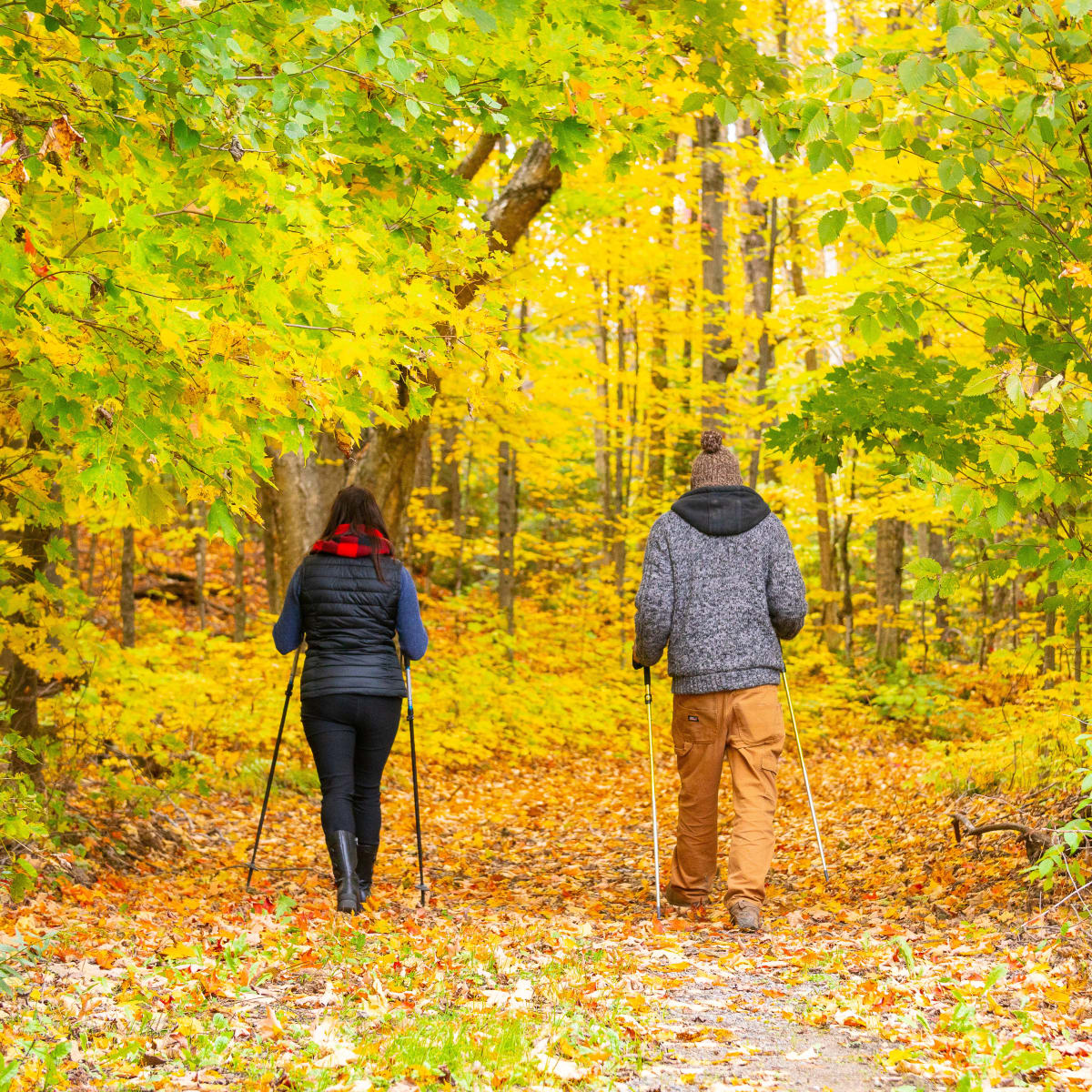 A man and a woman walking on a path lined with fall leaves.