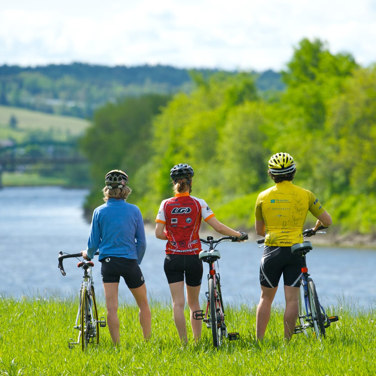 Three cyclists by the water looking at the scenery.